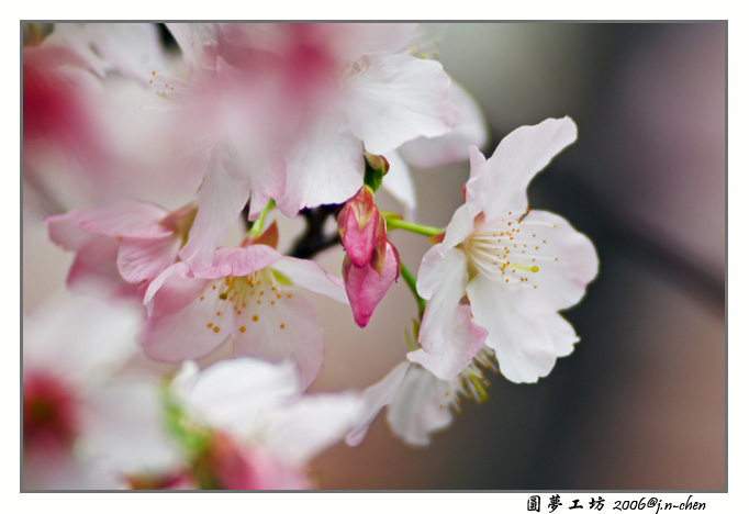 DSC_3307.jpg
