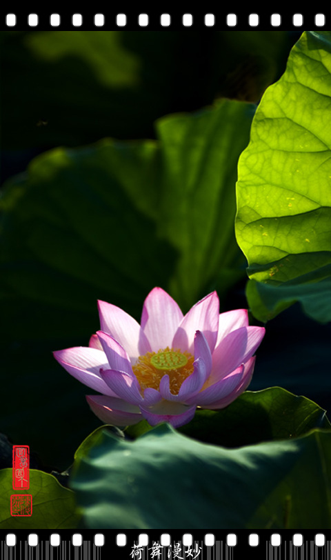 DSC_3881.jpg