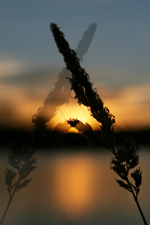 Daylight