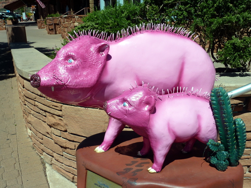 Pink Jeep Tours Pet  Javelinas
