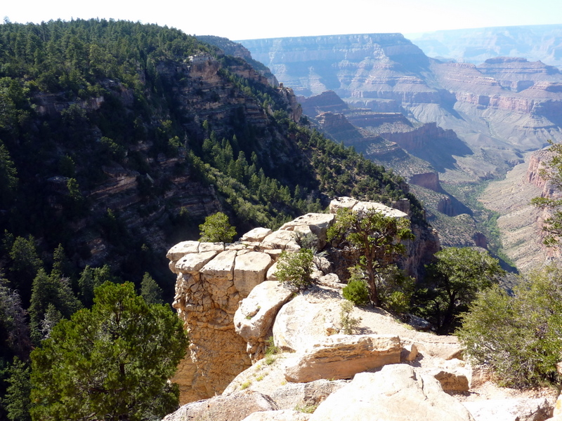 View from Grandview Point