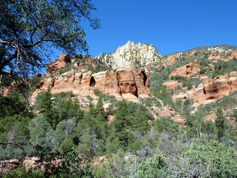 Scenic View