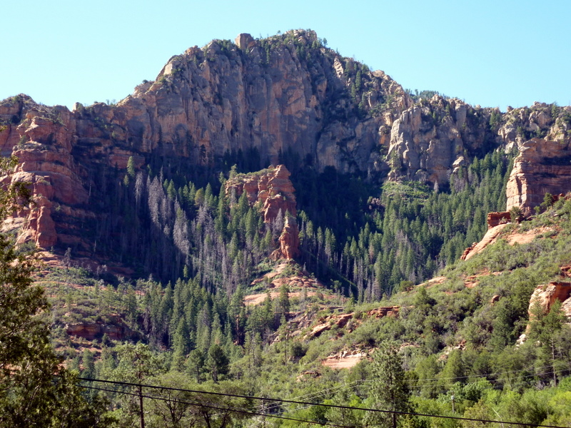Scenic View