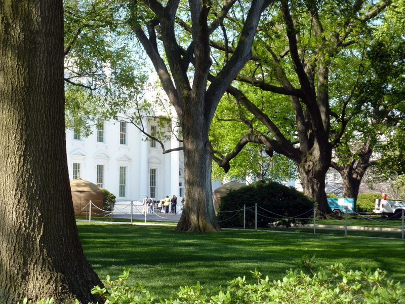 The White House