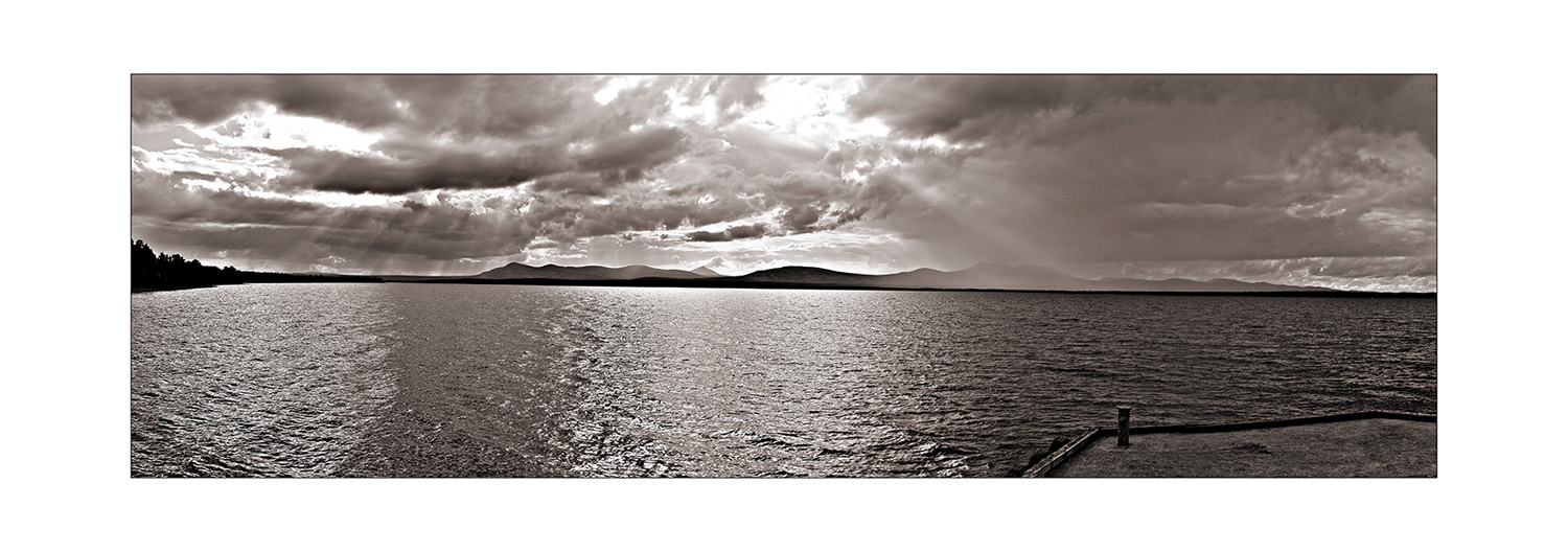 Liquid Light