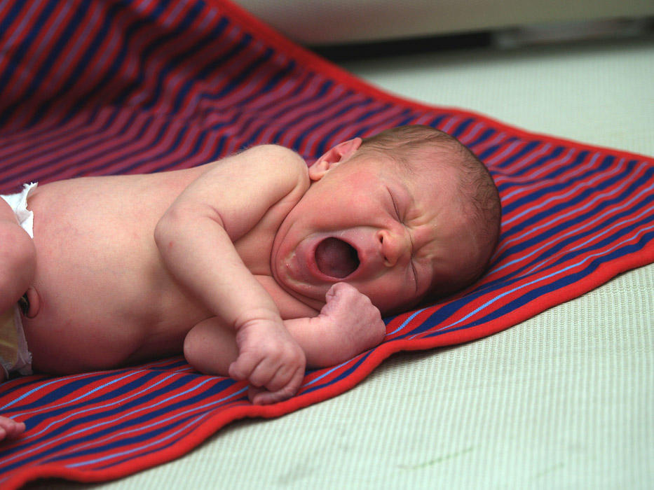 Marcel practicing his yawn