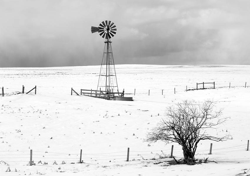 Not typical spring in B&W