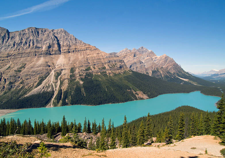 Classic High Noon at Peyto Lake