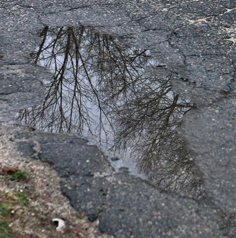 A Puddle Framed By Asphalt.jpg