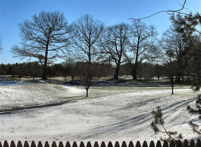 A Golf Course Under Snow.JPG