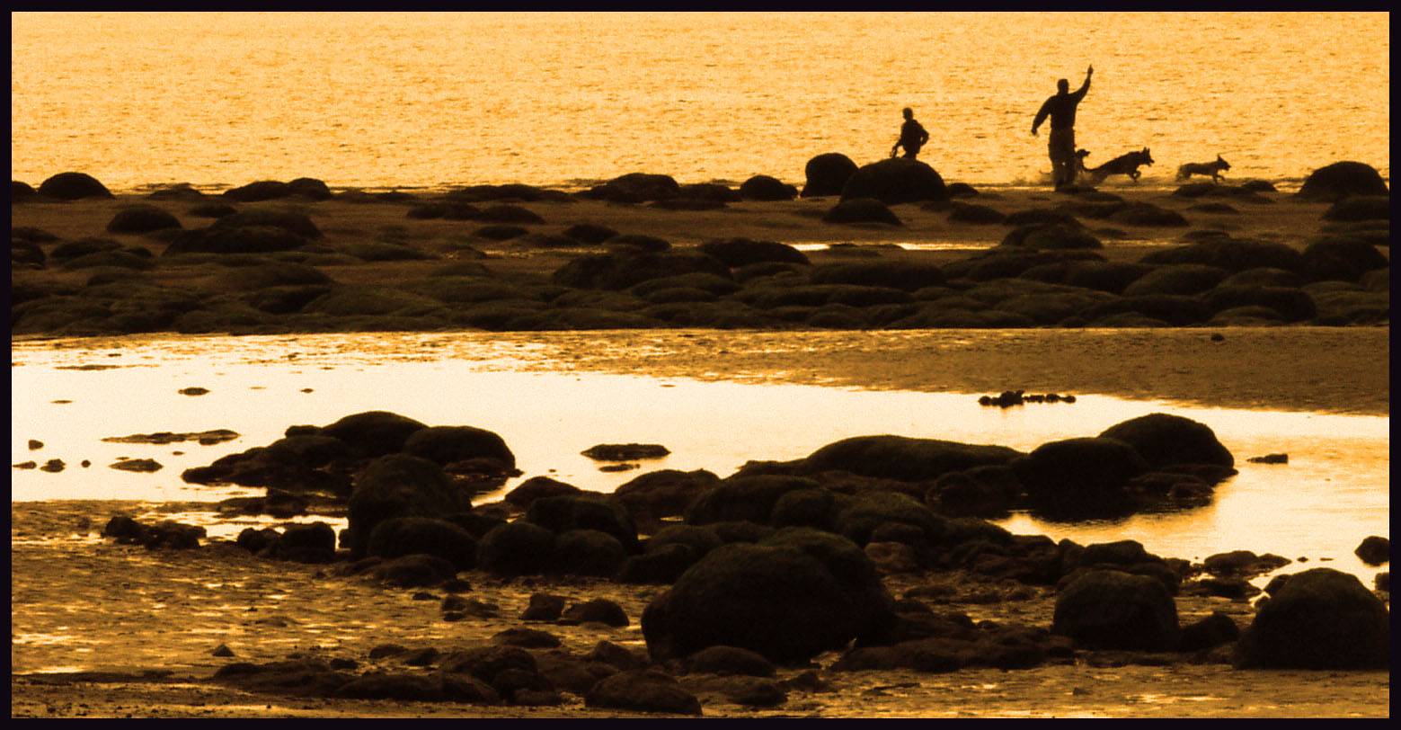 Couple with dogs along the beach