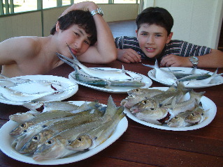 Damien__Alex____plates_of_fish.jpg