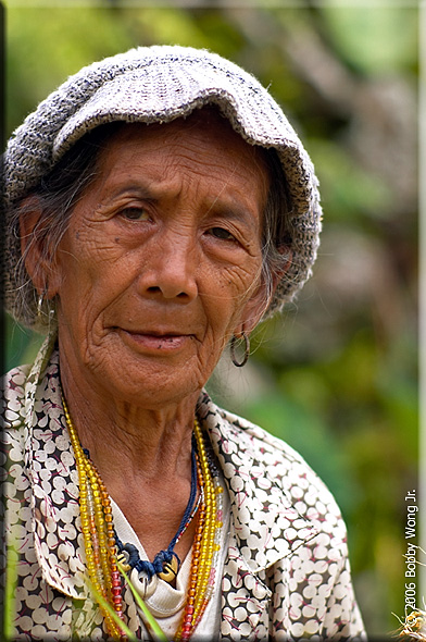 Rice Farmer, plants and harvests