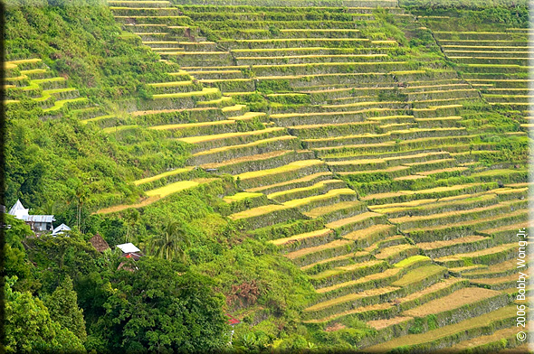 Stone Terraces