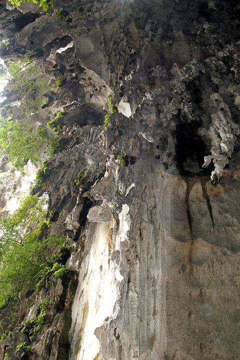 _DSC6865.jpg