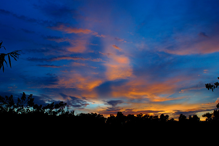 _DSC2098.jpg