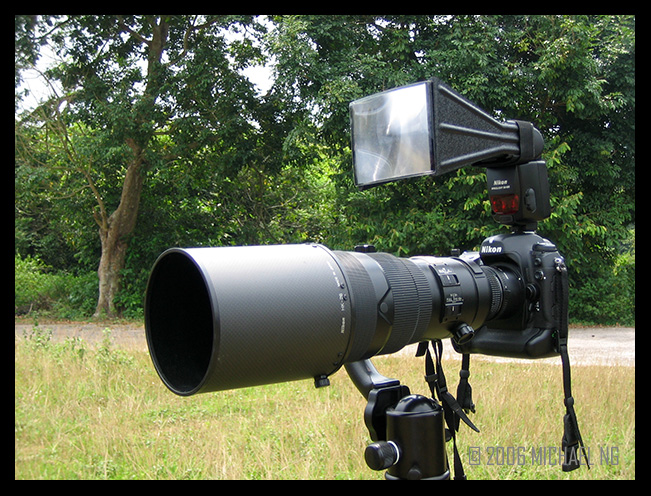 D2H+300mm f/2.8 AFS MkII