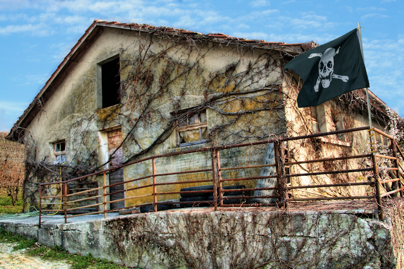 Vineyards Pirates...