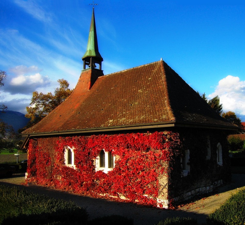 Autumn country church