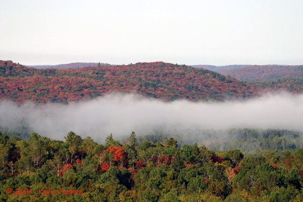 MIST ON ALGONQUIN PARK