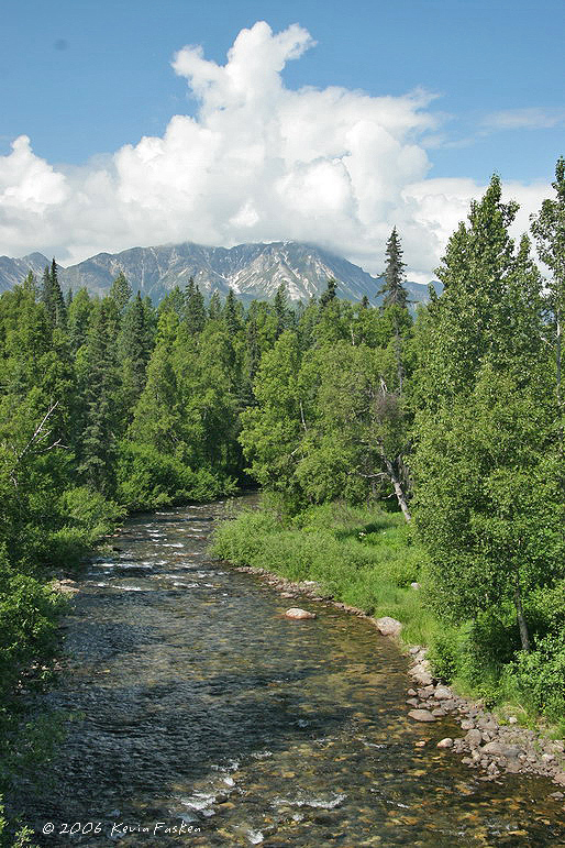 ALASKA STREAM