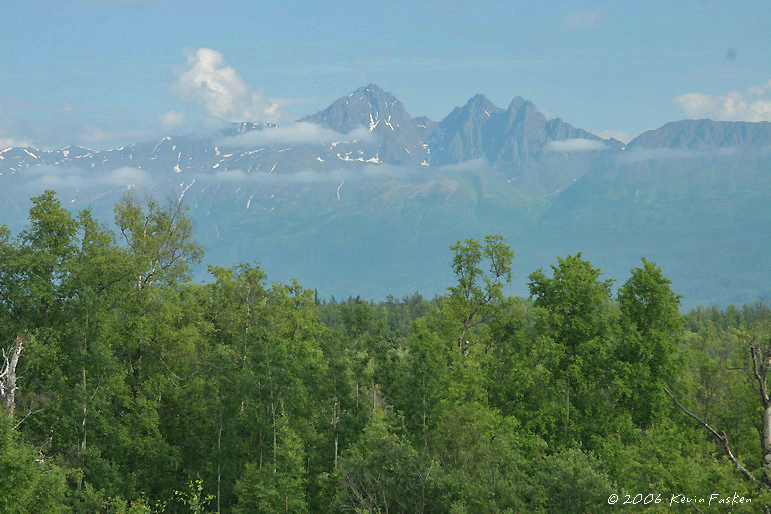 FOREST & MOUNTAINS