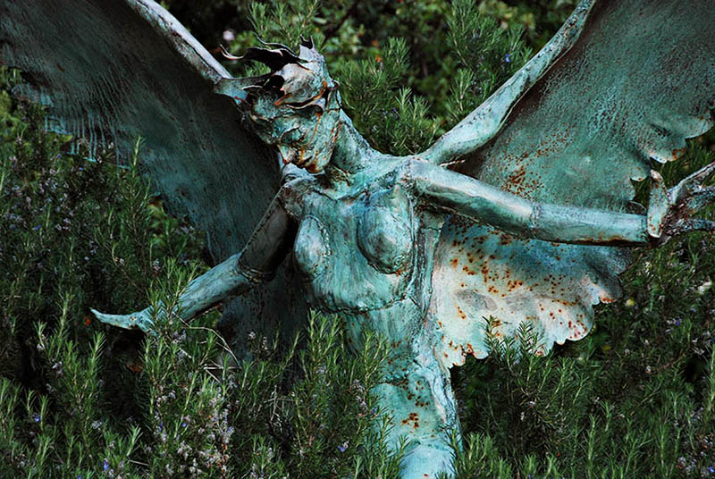 Angel