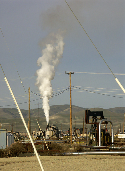 The Oil Fields are Alive