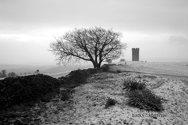 IMG_3049_MONO FOLLY