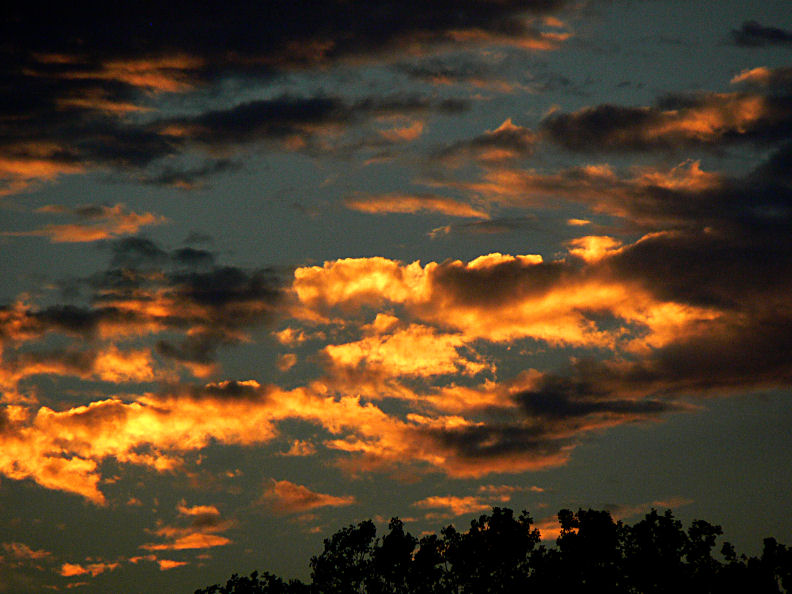 Sunset Gold