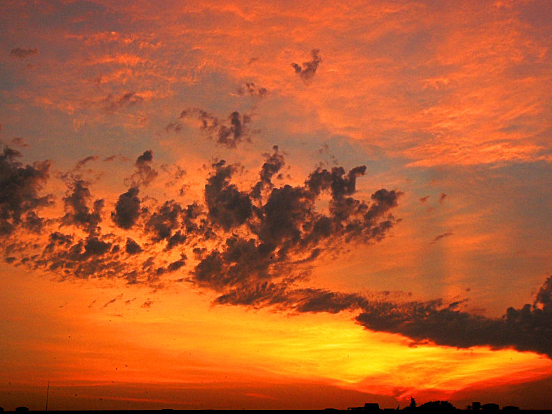 Sunset with Swallows