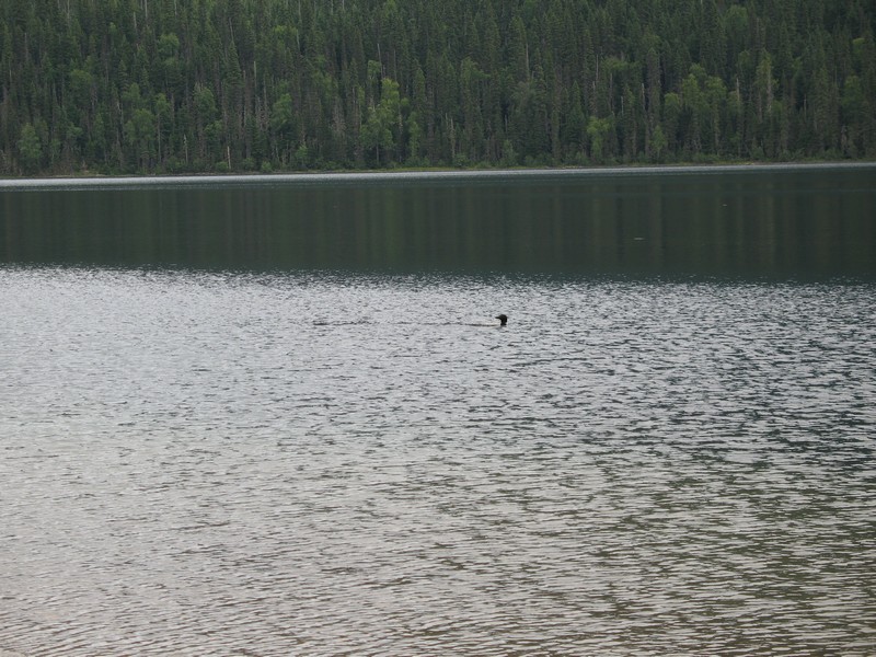 IMG_0470_a.jpg