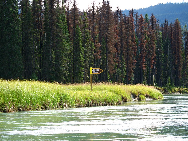 Day 6 - Friday, August 11