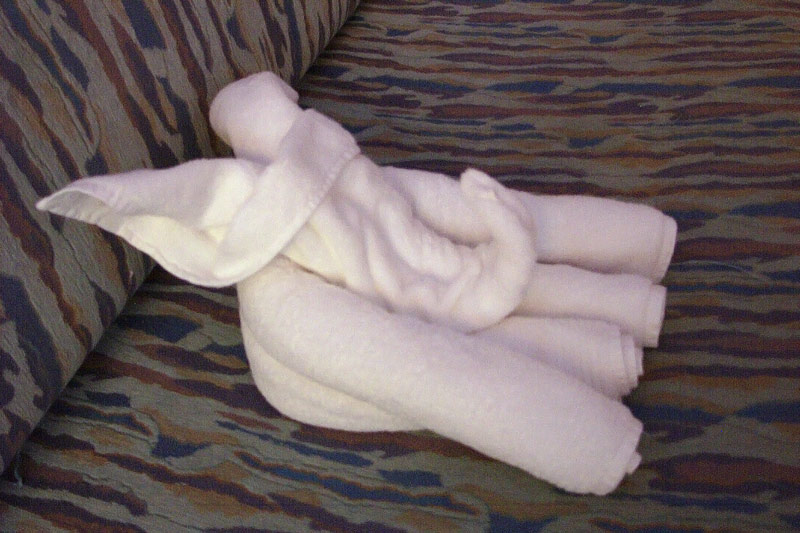 Towel-1.jpg