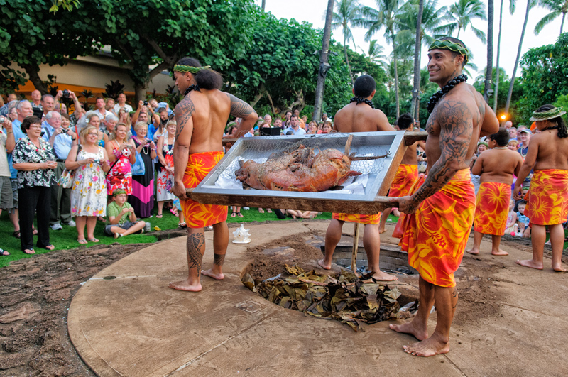 Kalua Pig removed and meat ready to shred for the Luau