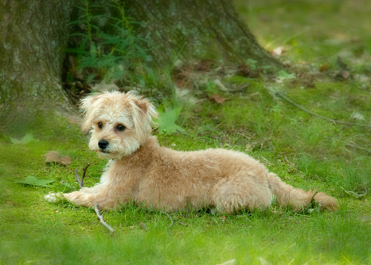 _DSC9062s1200w.jpg