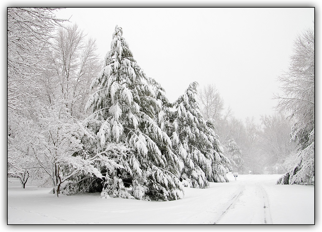 Maryland Winter