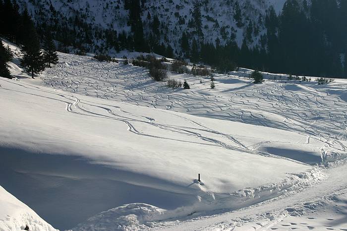 Kleinwalsertal - Starzeltal/Brgunttal