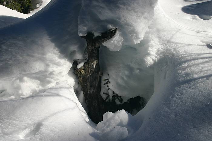 Kleinwalsertal - Melkde / Schwarzwassertal / Schwarzwasserhtte