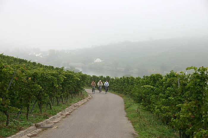 Mosel 2005