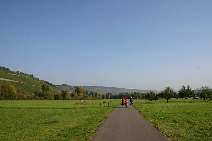 Mosel 2005