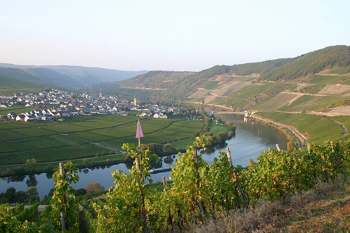 Mosel 2005