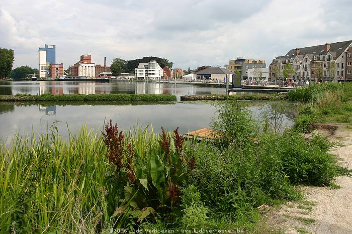 Turnhout Jachthaven Nieuwe Kaai
