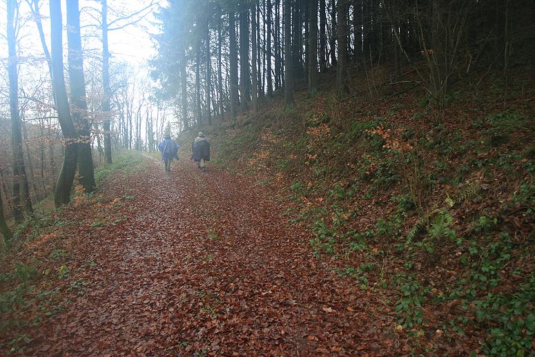 SdEifel: Pltscheid en omgeving