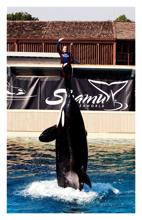 Shamu!