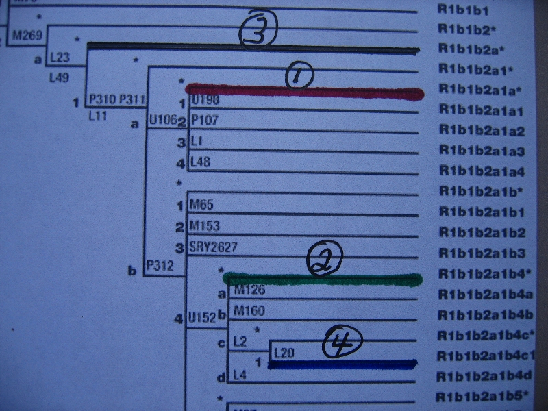 Hooks DNA SNP Map