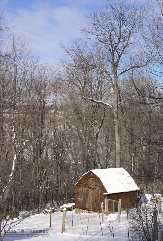 Barn in Snow