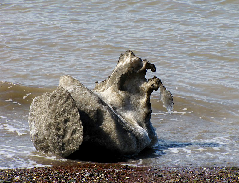 Monstre de glace