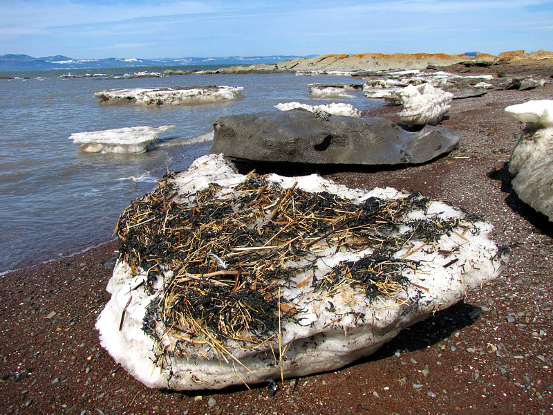 icebergs chous sur la plage