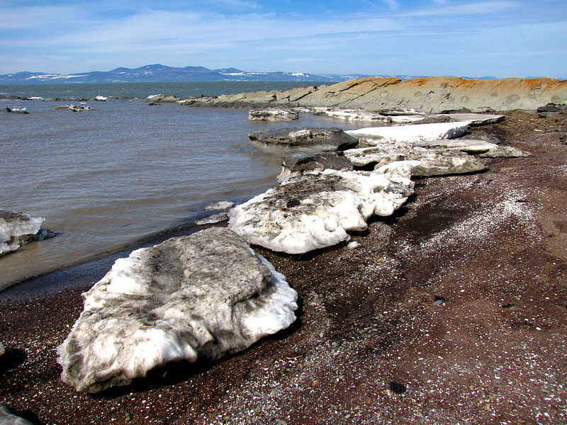 plage d'icebergs